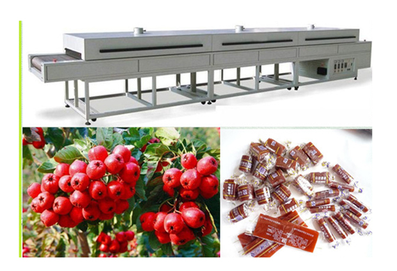 Hot sale Fruit leather production line from manufacturer