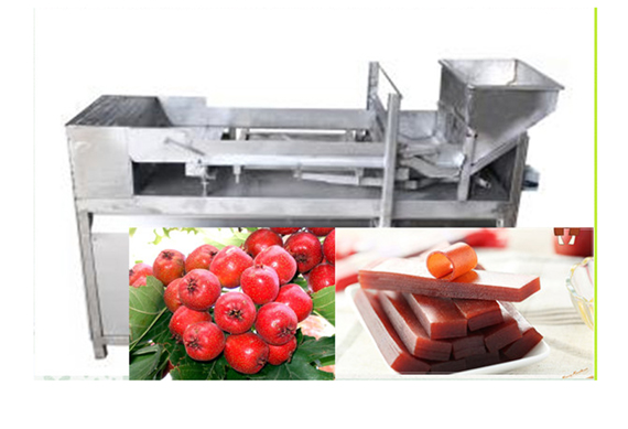 Hot sale Fruit leather production line from manufacturer