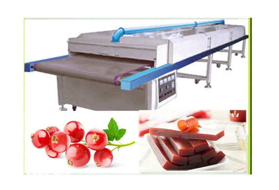 Hot sale Fruit leather production line from manufacturer