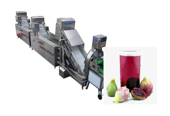small capacity prickly pear juice making plant