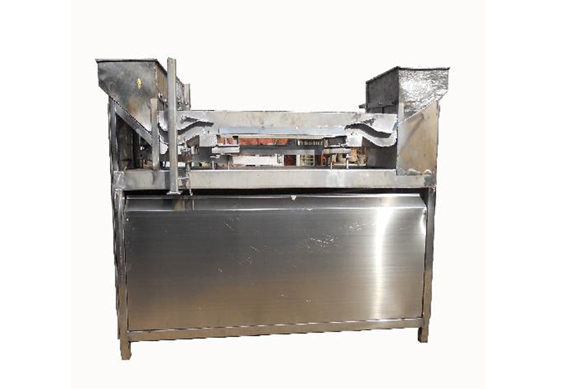 Fruit leather making machine/production line