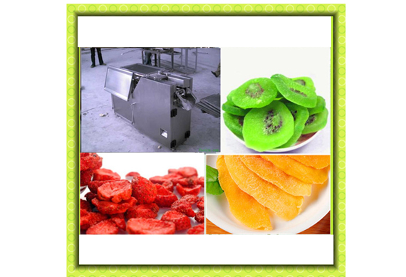 Industrial raisin processing line/automatic raisin processing machine