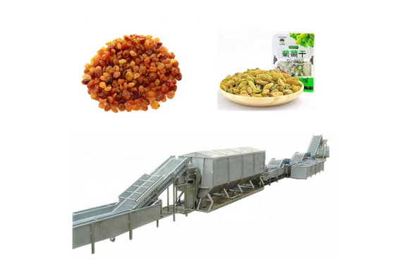 Raisin Processing equipment/fruit processing equipment