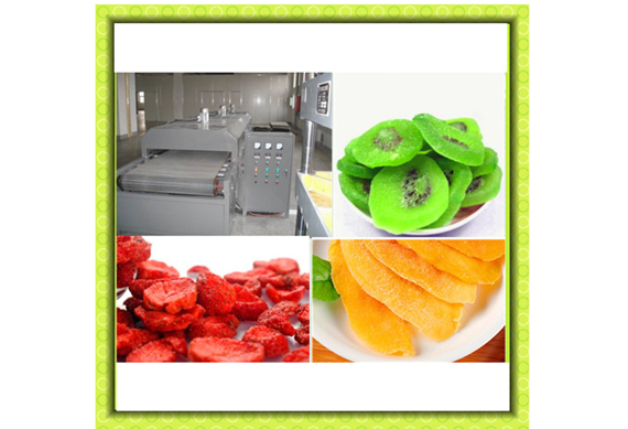 Raisin Processing equipment/fruit processing equipment