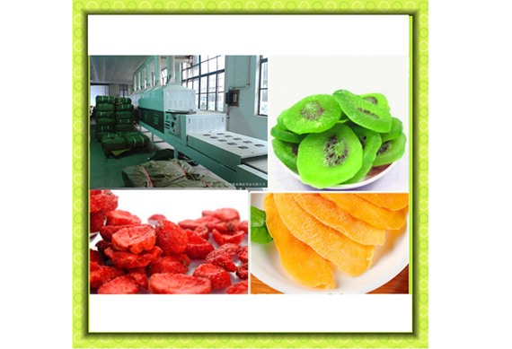 china hot sale fruit seed processing machine/jujube machinery/cherry pitter machine