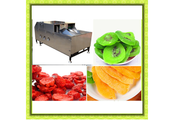 Equipment/Persimmon Peeling Equipment /Pear Slicing Equipment Line