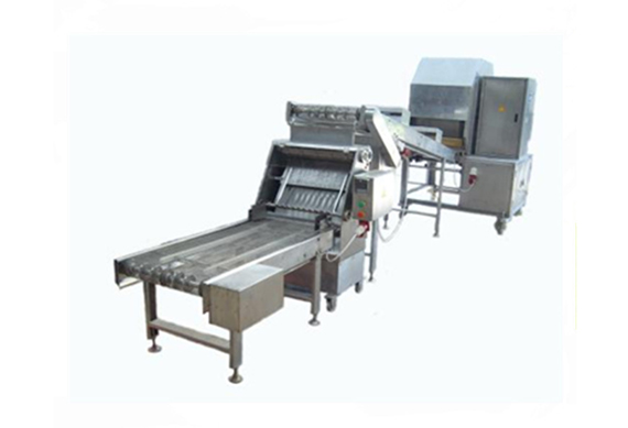 Complete automatic Spring Roll Production Line