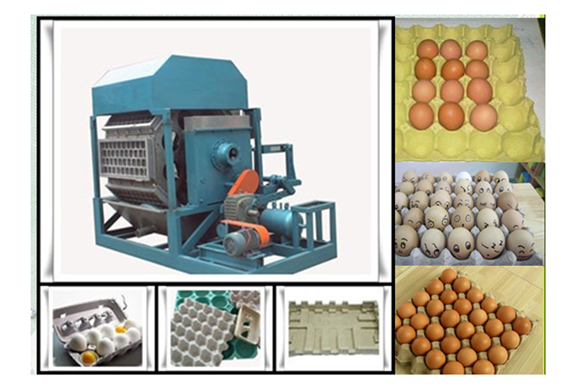 Eggs packaging machine trays eggs production line