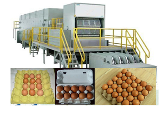 Eggs packaging machine trays eggs production line