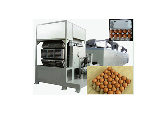 Eggs packaging machine trays eggs production line