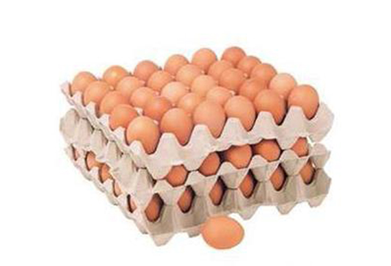 Eggs packaging machine trays eggs production line