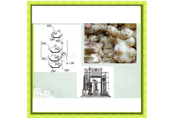 shanghai inulin powder processing line