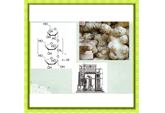 shanghai inulin powder processing line