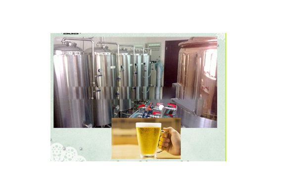 small beer making machine/system/equipment/micro beer production line