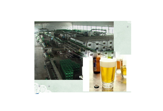 small beer making machine/system/equipment/micro beer production line