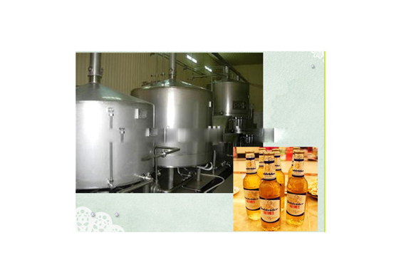 small beer making machine/system/equipment/micro beer production line