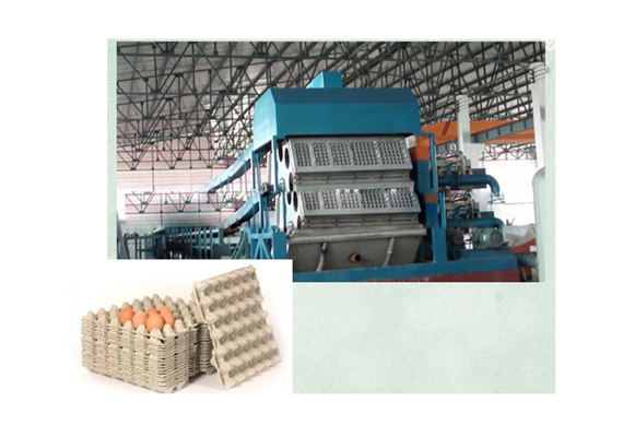 Good quality 3000pcs per hour egg tray making machine price