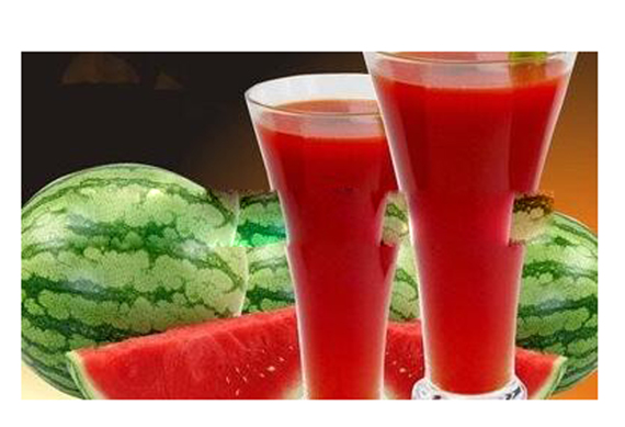 High quality watermelon fruit juice processing plant