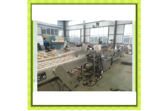 Bean sprout processing line / bean sprout washing machine