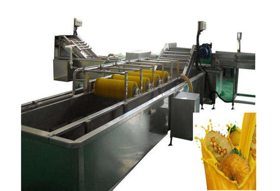 high quality prickly pear paste making plant