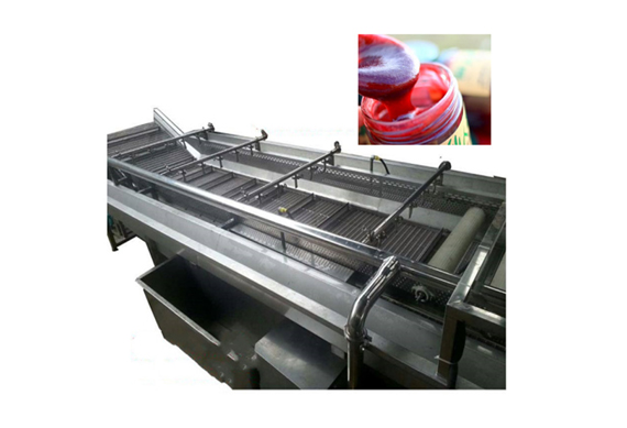 automatic prickly pear paste production line