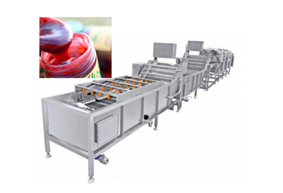 automatic prickly pear paste production line