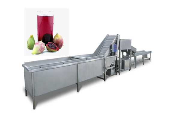 automatic prickly pear paste production line