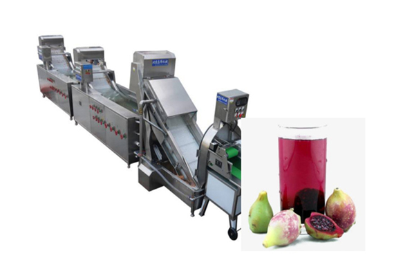 automatic prickly pear paste production line