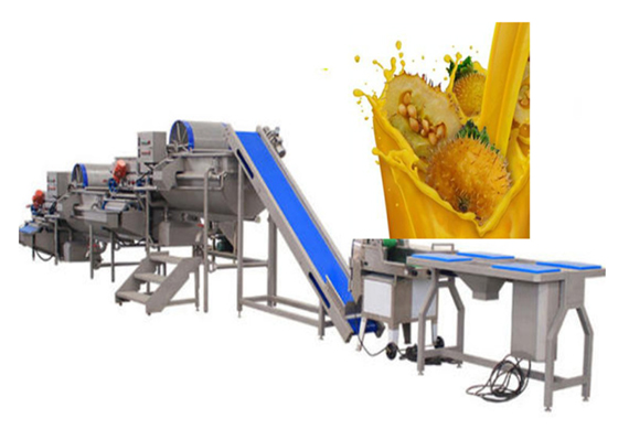 automatic prickly pear paste production line