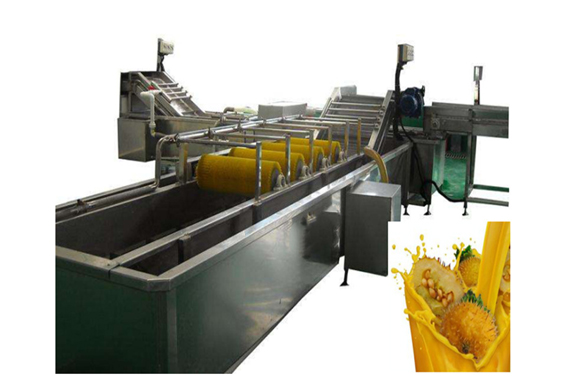 Top quality Rosa roxbunghii juice production line