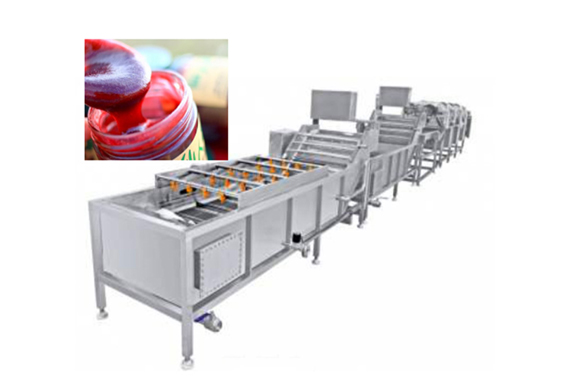 Top quality Rosa roxbunghii juice production line