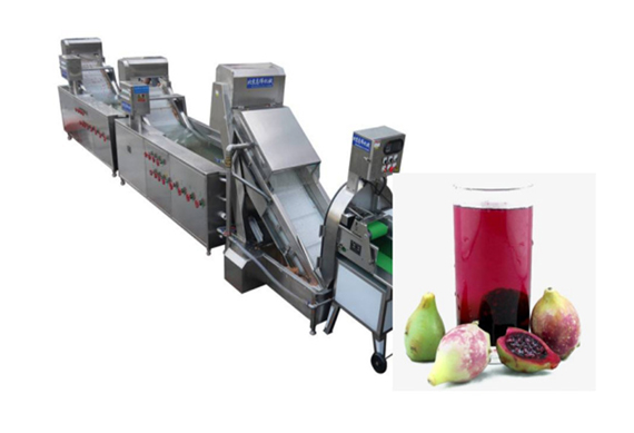 Top quality Rosa roxbunghii juice production line