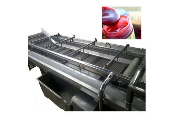 Top quality Rosa roxbunghii juice production line