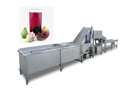 Top quality Rosa roxbunghii juice production line