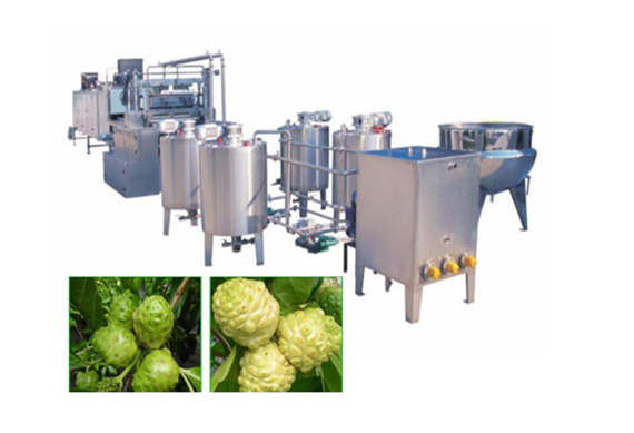 Fully automatic Morinda Citrifolia juice production line