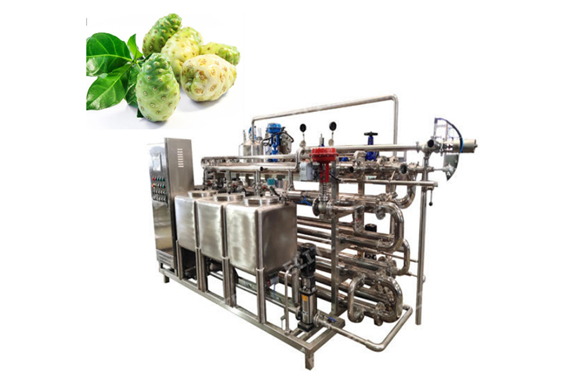 Fully automatic Morinda Citrifolia juice production line