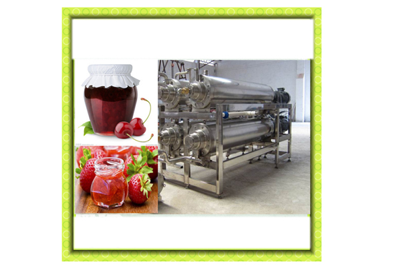 fruit pulp/jam production line