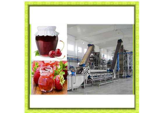 fruit pulp/jam production line