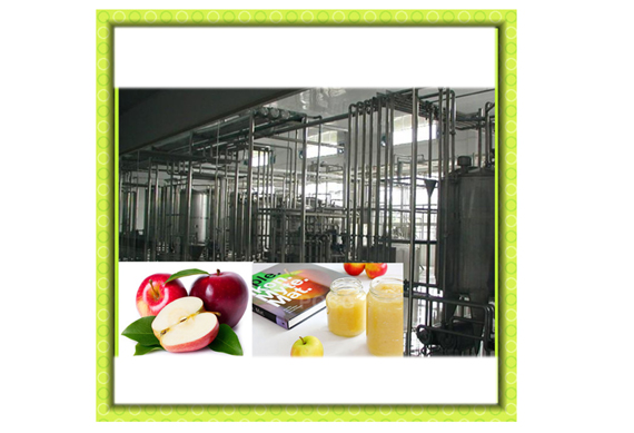 fruit pulp/jam production line