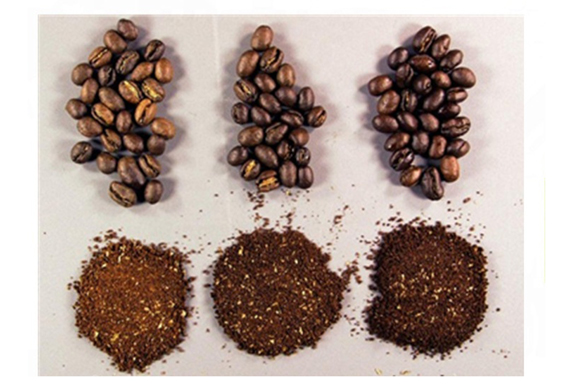 instant coffee freeze powder making plant