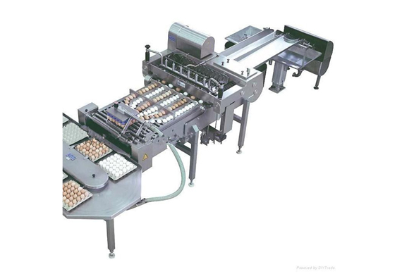 See larger image liquid whole egg processing line, liquid whole egg production equipment, liquid whole egg making machine