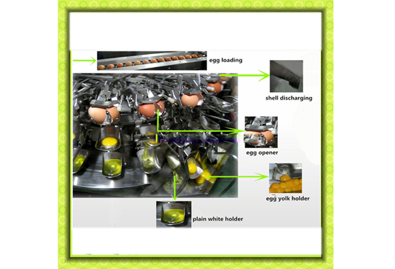 See larger image liquid whole egg processing line, liquid whole egg production equipment, liquid whole egg making machine