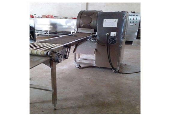 China Spring Roll Process Production Line