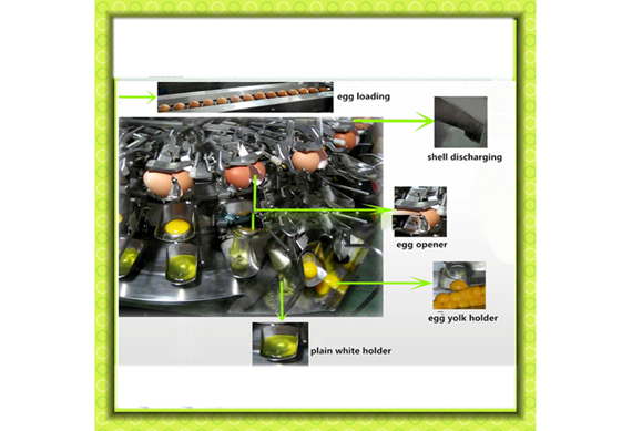 See larger image Food process machine to break separate egg yolk and white/separating liquid egg line