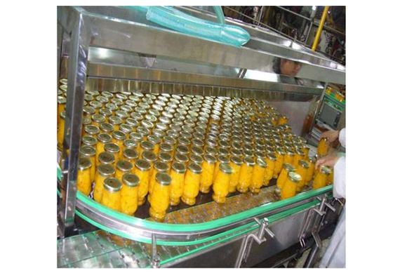 Canned pineapple processing machine Canned pineapple slices production line