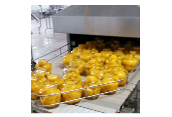 Canned pineapple processing machine Canned pineapple slices production line