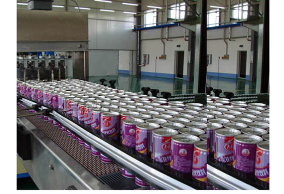 Canned pineapple processing machine Canned pineapple slices production line