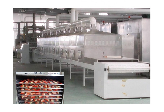 Hot Sale Fruit Drying Line for Dehydrated fruit