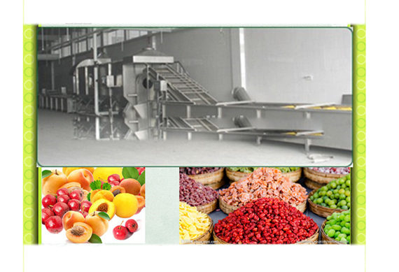 Hot Sale Fruit Drying Line for Dehydrated fruit