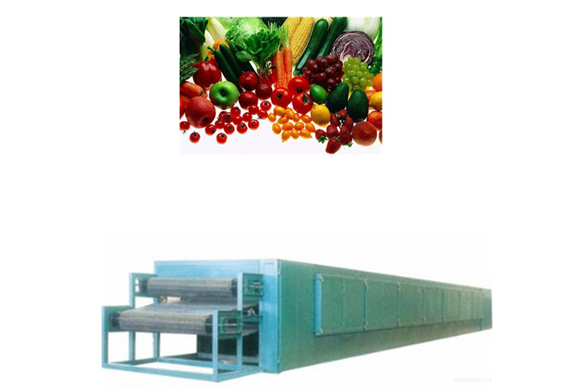 Hot Sale Fruit Drying Line for Dehydrated fruit